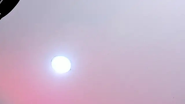 MeowMota_'s cam snapshot