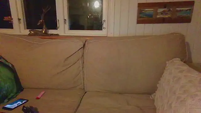 Stock-Holmes's cam snapshot