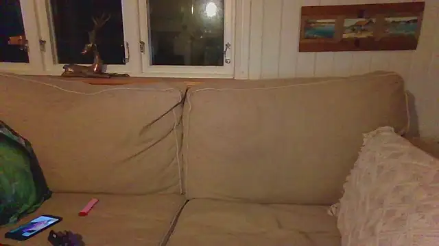 Stock-Holmes's cam snapshot