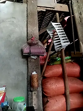 kokoto-59's cam snapshot