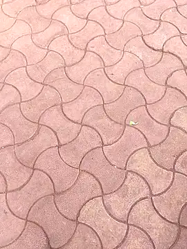 Brown_Munda047 live sex cam