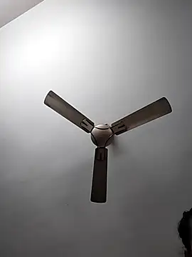 me-leela's cam snapshot