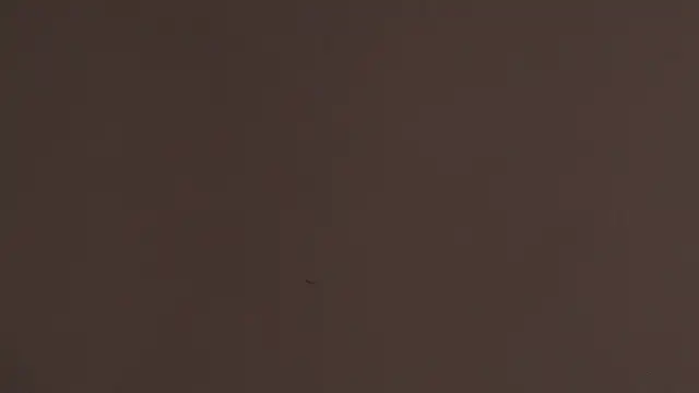 harry_greg21 live sex cam