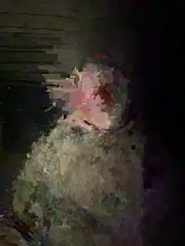 Nemont's cam snapshot