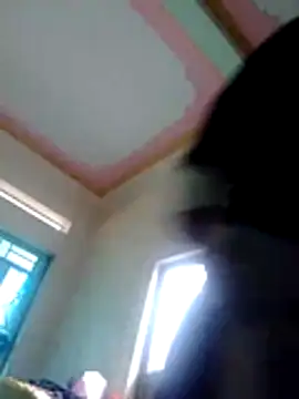 bella-la live sex cam