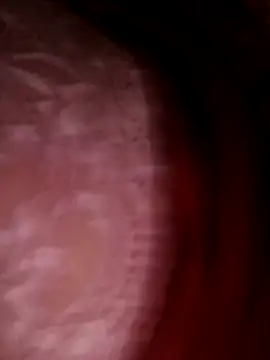 Crossdres live sex cam