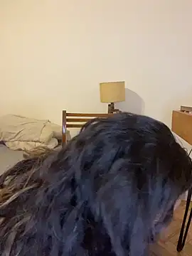 jessens146's cam snapshot