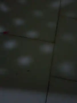 gaticahottboom's cam snapshot