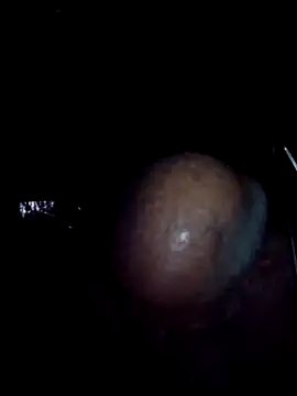 den-rock4u live sex cam