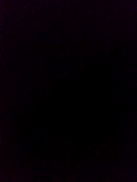 pauzudao_12 live sex cam