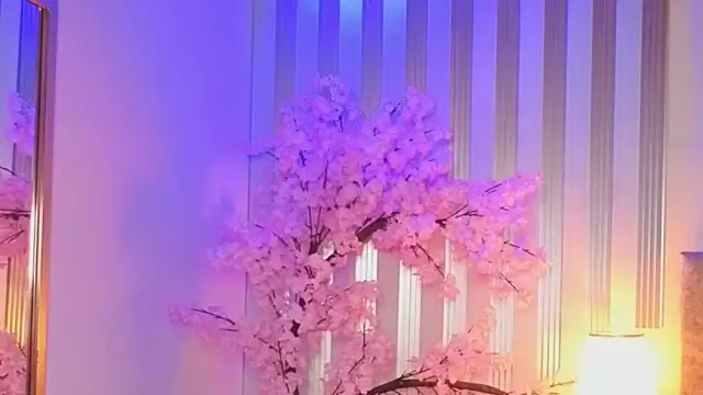 angelinarouse_ live sex cam