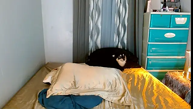 SweetLilly_18 live sex cam