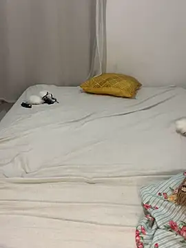 Casadadelicia26 live sex cam