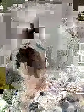 callistra's cam snapshot