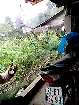 galaxy898's cam snapshot