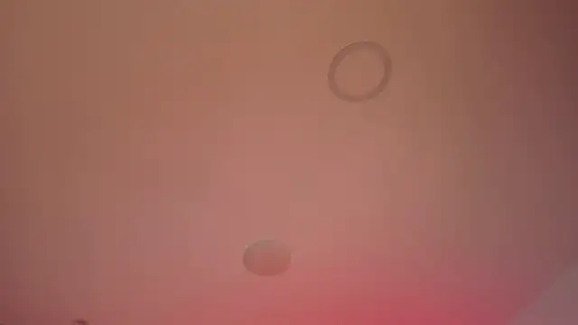 jay_kross1 live sex cam