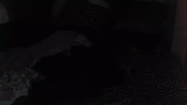 Mic_Oxinner live sex cam