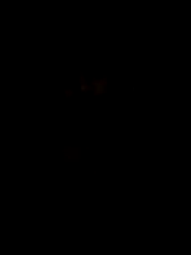 Mee___Telugu__abbayi's cam snapshot