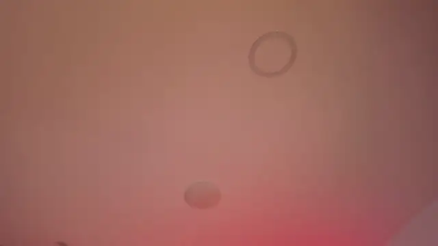 jay_kross1's cam snapshot