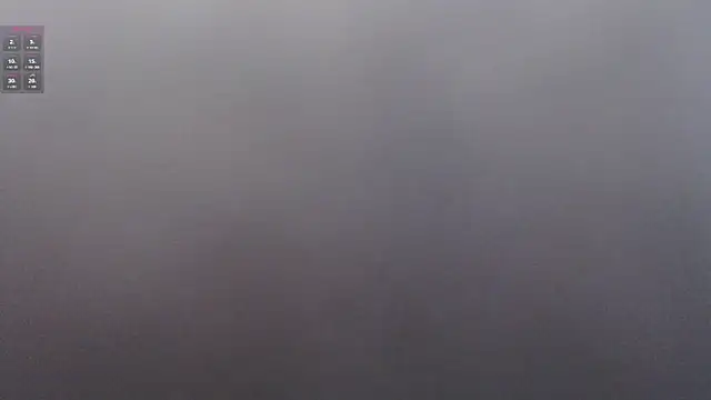 lelapopins live sex cam