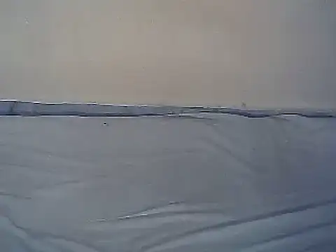 tasty_piee's cam snapshot