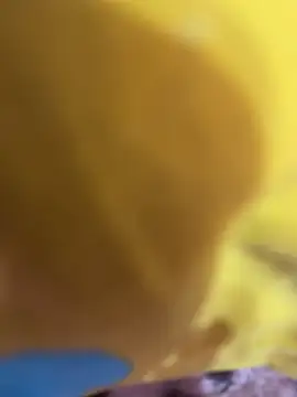 Horny__daddy0 live sex cam