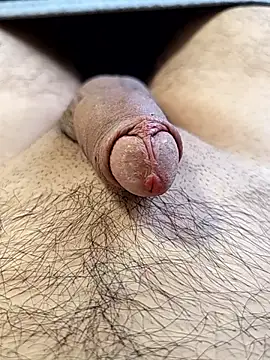 Komitovrs's cam snapshot