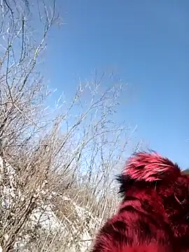 CassandraSandra44's cam snapshot