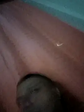 Reallove1999's cam snapshot