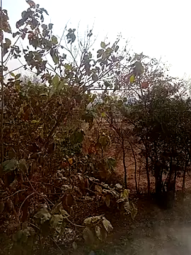 DesiPlayboy09's cam snapshot