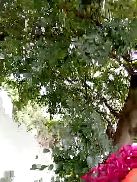 Sweethoneypot25's cam snapshot