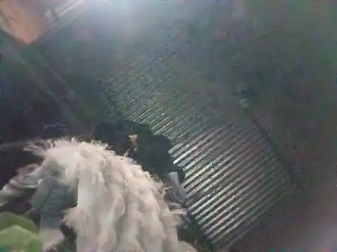 edijavimes's cam snapshot