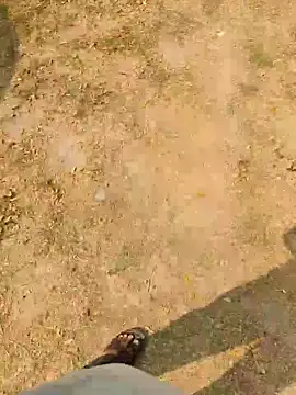 3D-telugu's cam snapshot