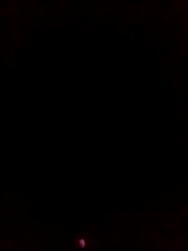 degeneradicto's cam snapshot