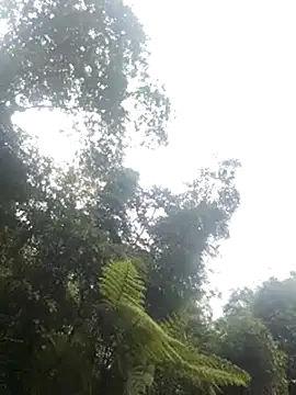 omiu-baby's cam snapshot