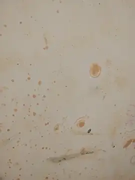 Sapna_baby1's cam snapshot