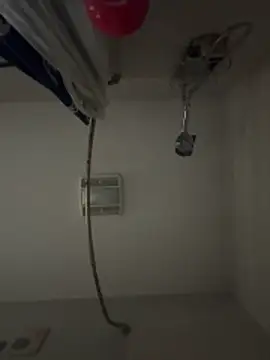 curis4270panda live sex cam