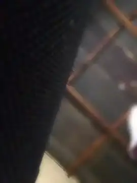 Gold_Digger86's cam snapshot