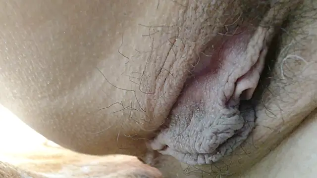 sonyx's cam snapshot