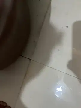 swaggyboii live sex cam