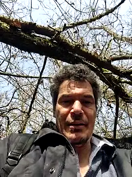 twitshe live sex cam