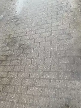 GeilerHSVFAN1989 live sex cam