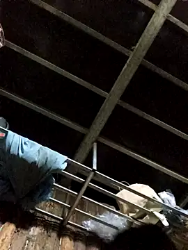 jerry-xx's cam snapshot