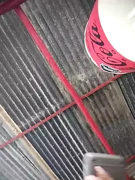 Brenda_Berck_ live sex cam