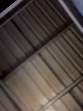 bigfatdick111 live sex cam