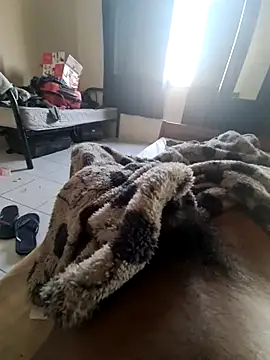 ajmalmallu's cam snapshot