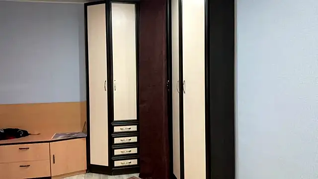 Emmibrilson's cam snapshot