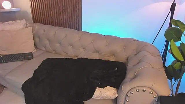 liam_collins21 live sex cam