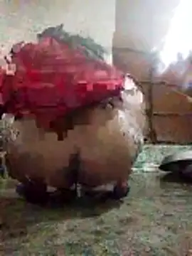 aunty_sumy live sex cam