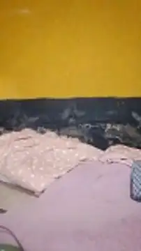 HornyAss_Bitch live sex cam